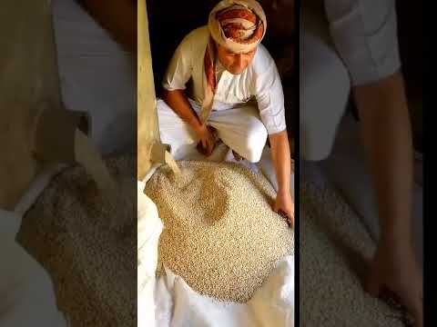 اجود انواع اللحوح من الذرة البيضاء والحمراء والتي تزرع على الامطار خصوصا في منطقه جبل يزيد وثلا