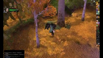 WoW: PTR: Flying Bug