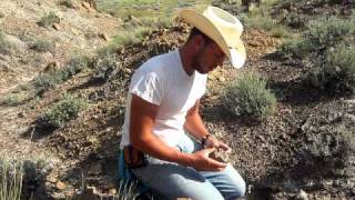 Finding Triceratops in the Hell Creek Formation