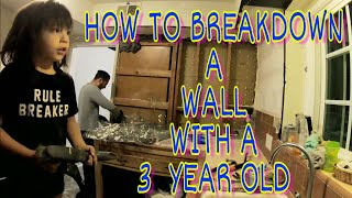 GUTTING DOWN THE KITCHEN WALL PROJECT Net Worth