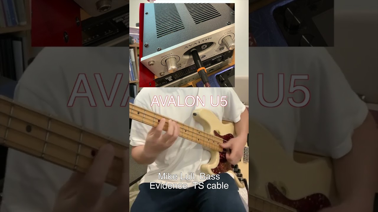 Avalon U5 vs REDDI 사운드비교 