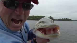 50 inch Muskie on Eagle Lake, Ontario