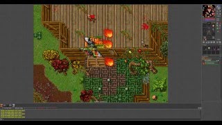 Tibia PK AURORA HUNTED SERIO 
