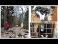 Карелия: Зоокомплекс &quot;Три медведя&quot;, Гора Сампо, Парк Кивач, Палеовулкан Гирвас. Великий Новгород