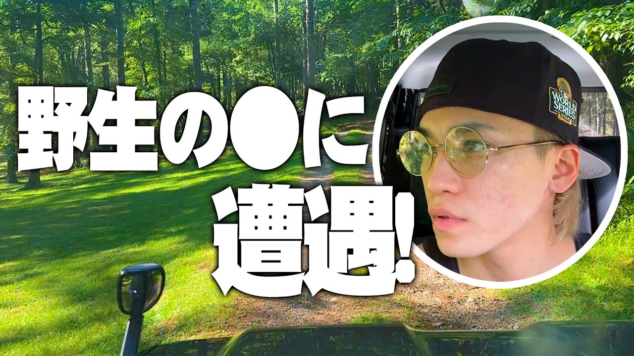 【ドライブ】野生のアイツに森で遭遇！