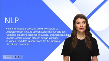 Natural Language Processing (NLP)