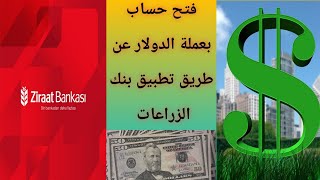 فتح حساب دولار في بنك زراعات عن طريق تطبيق الهاتف(ZİRAAT BANK)