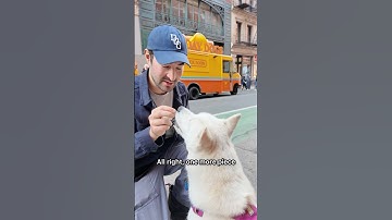 Elsa and I stopped by Australia’s G’Day Dogs truck in SoHo for a Hot-Dogist review! 🌭