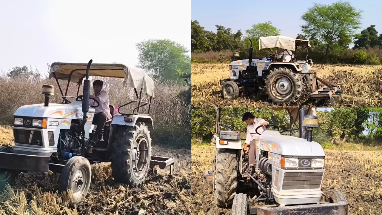 Finnally आज चने के लिए खेतो को तैयार कर दिया Eicher 368 with 9 tines cultivator in Hard Black soli