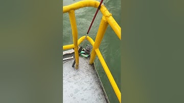 câu cá trên hồ thủy điện