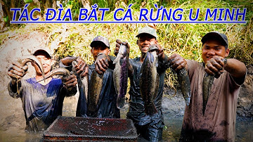 Tác Đìa Bắt Cá Tháng Hạng Ở Rừng U Minh Hạ