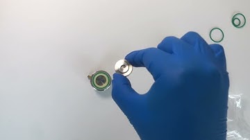 Split coin cell assembly