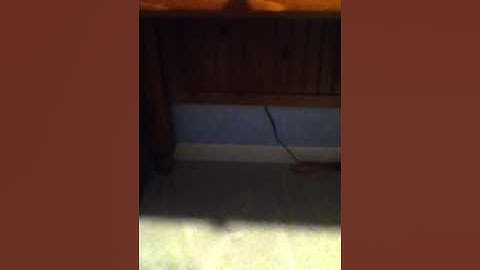 Perplexus Epic Shortcuts