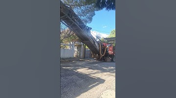 New #video#please #support #subscribe #my|first|vlog