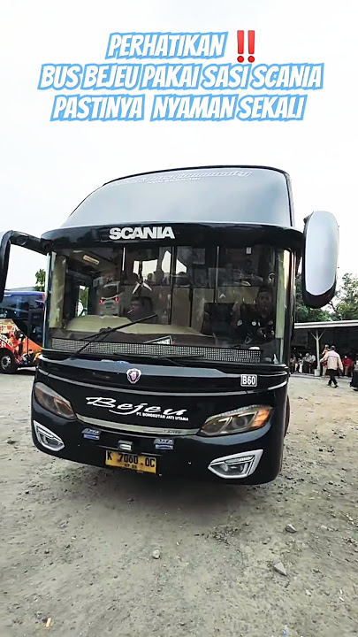 BUS BEJEU AVANTE SCANIA 👍  #bejeu #busmania #basuri #basuribussid #storywa #pov