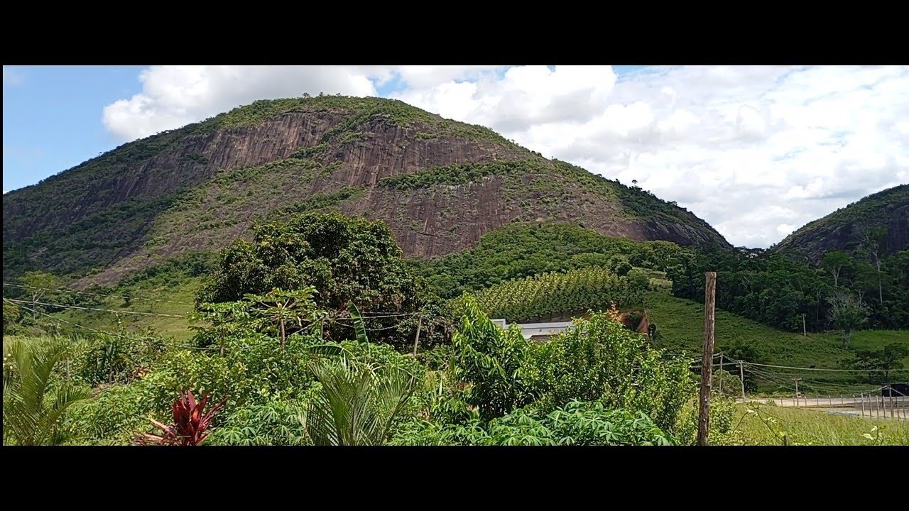 VENHA VER! HOJE, APRESENTO, AS BELÍSSIMA SUCULENTAS.🥰