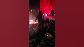 Those Damn Crows live at Swansea Arena 2023