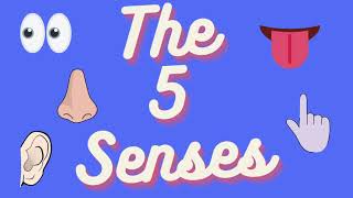 The 5 Senses | Educational Video for Kids | Learn about Sight | Taste | Hear | Smell & Touch English