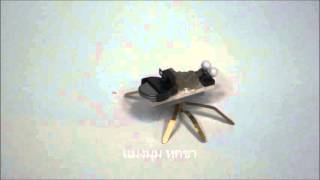 vibration motor bug