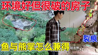 闺蜜决定在村里买房，找了一栋环境特别好，但非常破的老房子，被森林包围着，该怎么选择呢