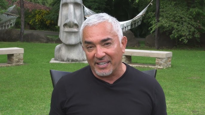 Cesar Millan "Cleans His Energy" at Rythmia