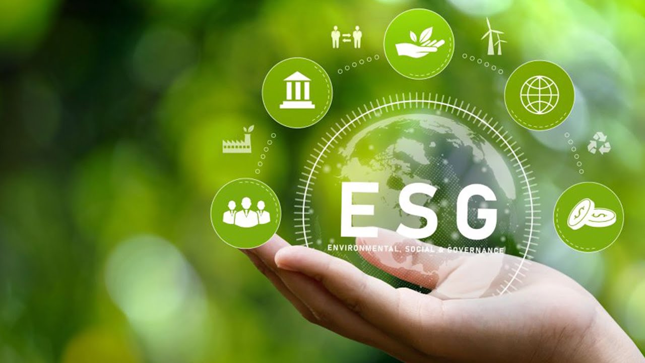 Estudo mostra que boa parte das empresas rurais priorizam a adoção de práticas ESG