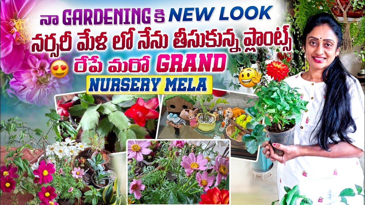 Nursery Mela Shopping 🛒 | Beautiful Plants & Garden Bommalu