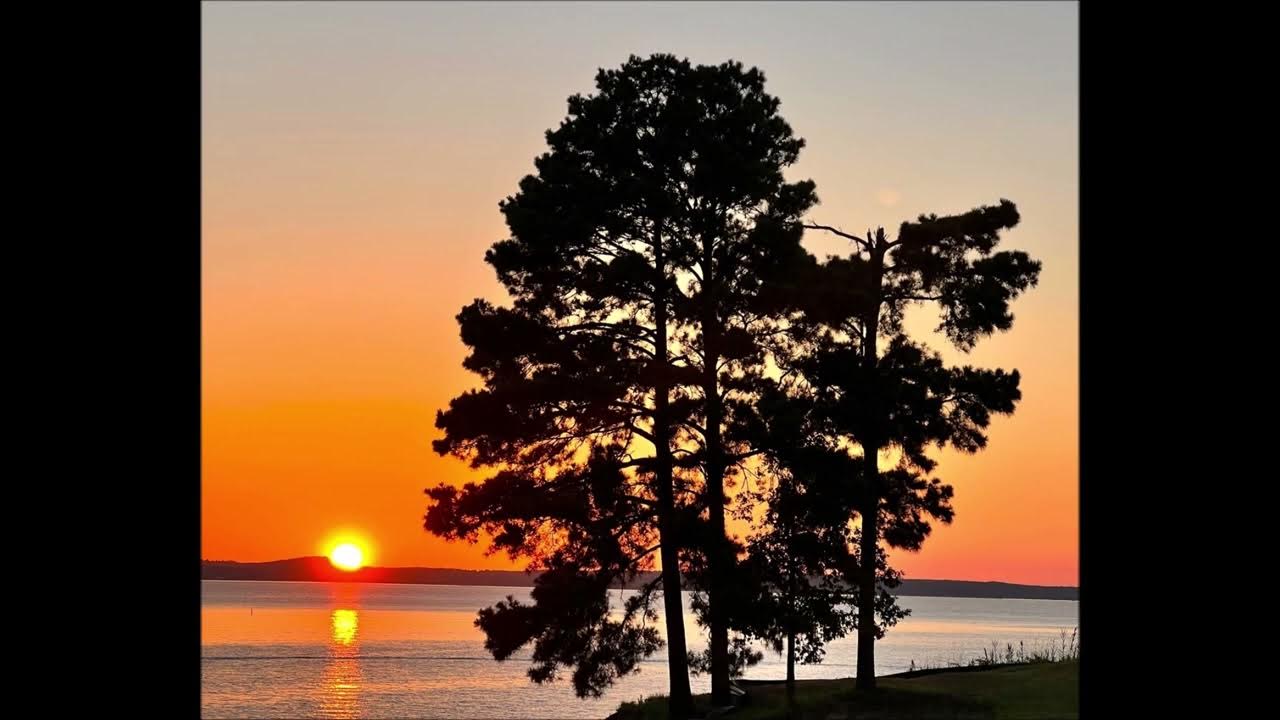 4 Bromelain and NAC Supplements Acute Respiratory Issues, Antiviral