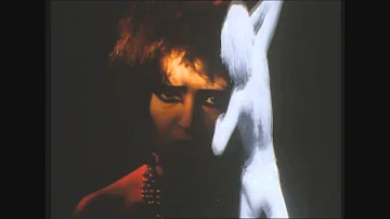 Siouxsie And The Banshees - Cities In Dust ( From DVD The Best Of   2004) Formiche