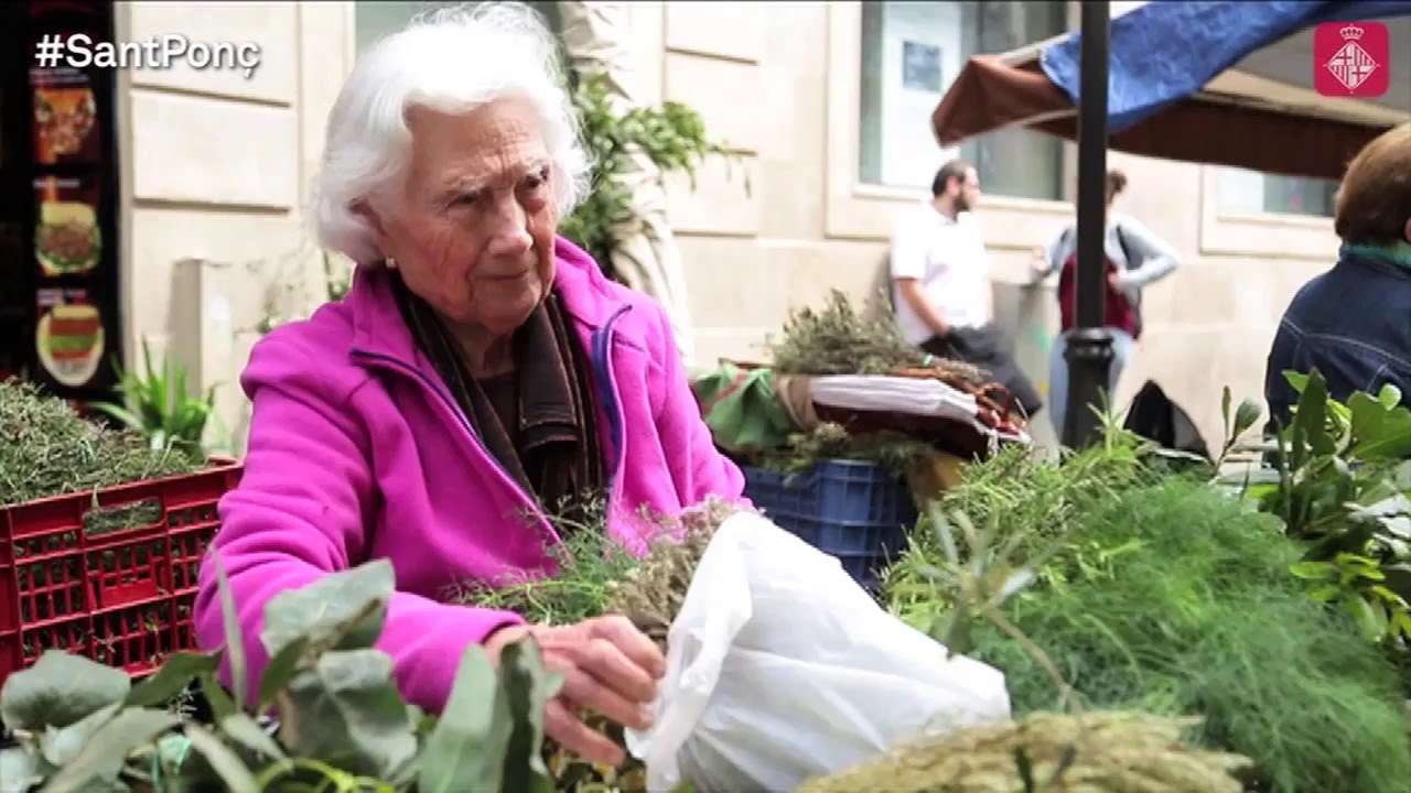 sant ponç embassament Sant Ponç omple d’aromes la ciutat