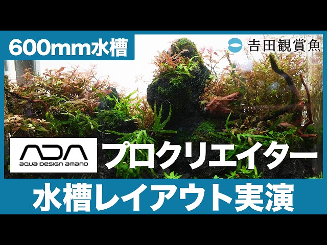 ADA Suikei Creator demonstrates aquarium layout! [600mm