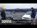 Citroen C-elysee vs Peugeot 301 - обзор б/у авто в рубрике DDrive