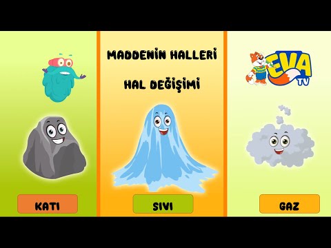 Maddenin Halleri ve Hal Değişimi