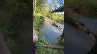 Tree Snaps During Rope Swing Over River