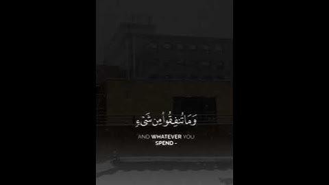 تلاوة الشيخ انس العمادي❤