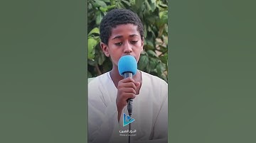 #سورة يوسف القارئ عمار، مجذوب ابراهيم