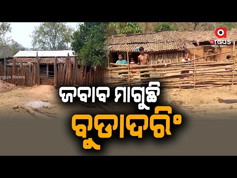 Budadaring village Yet to See Face of Development in Odisha's Kalahandi District