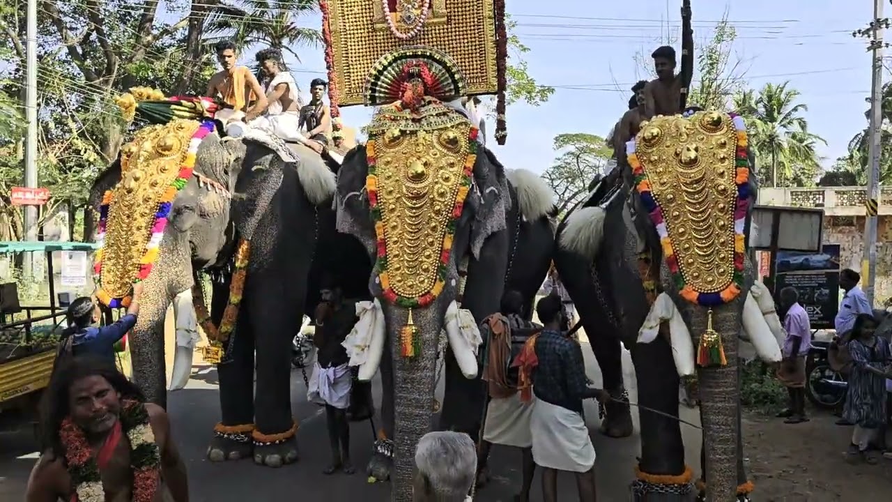 Dewaswom committe pooram @ Arangottukara mullakkal Thalapoli
