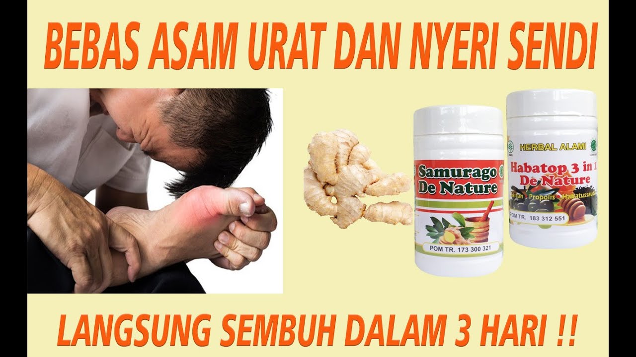 RESEP PALING AMPUH | OBATI ASAM URAT YANG TINGGI DAN NYERI SENDI. NAMA