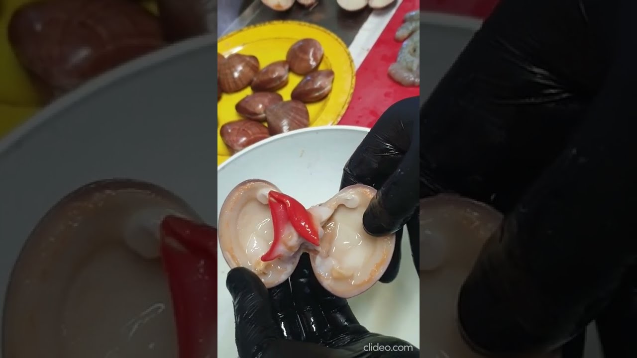 Conchas finas con langostinos a la plancha paso a paso, y ostras mas conchas finas al natural