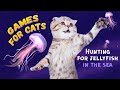 Hunt JELLYFISH games for cats on screen | BEST video game for cats