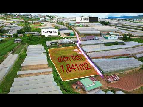 Video Bán đất Trại Mát | Phường 11 | Tp.Đà Lạt. | CÔNG TY CỔ... - youtube