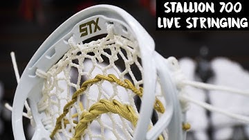 STX Stallion 700 Live Stringing