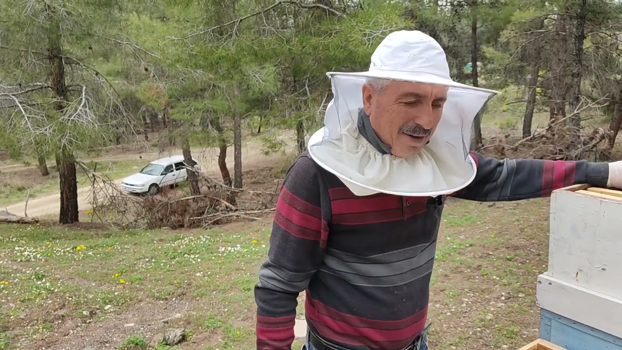 En garantili kat atma yöntemi. Arılara kat nasıl atılır. 17.04.2021 Kadir İPEK