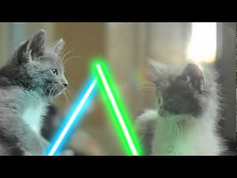 Téléchargement gratuit Images Parodie Star Wars Chat Jedie Youtube dernière salutations