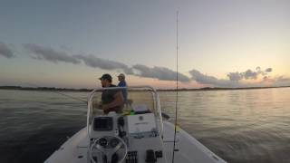 Speckled Trout Fishing Cocodrie, Louisiana
