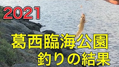 東京海釣り釣具店 Youtube