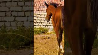 Be who you are 💗 851 Wealth