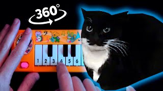 Maxwell The Cat 360° VR / 1$ yellow piano