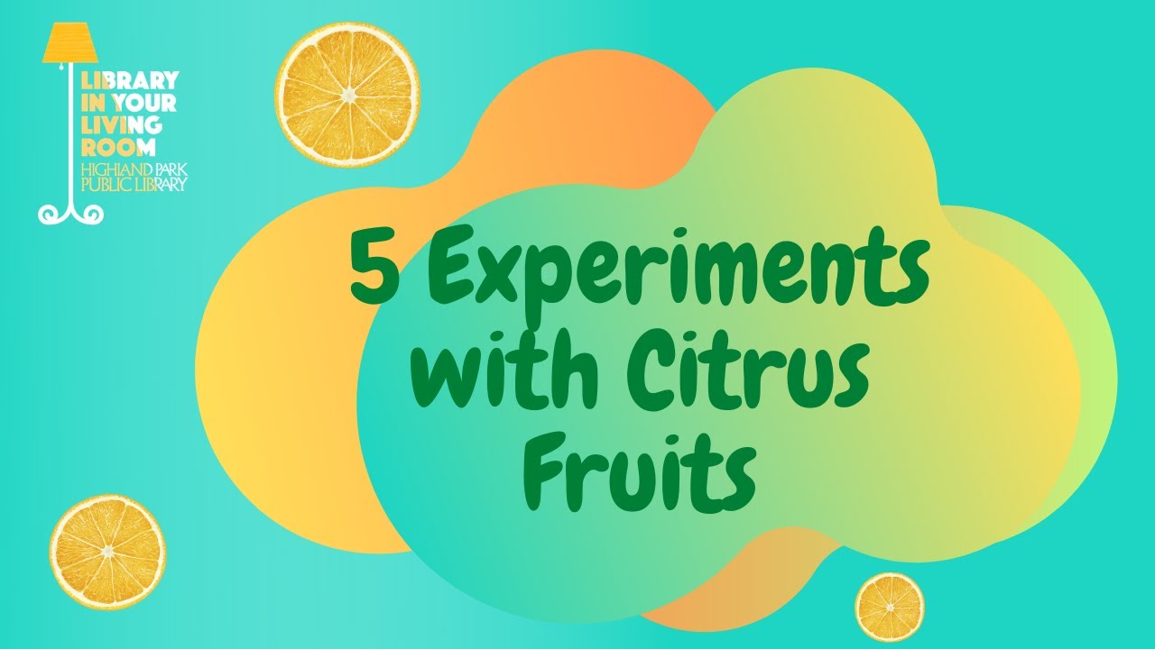 5 Experiments with Citrus Fruits YouTube